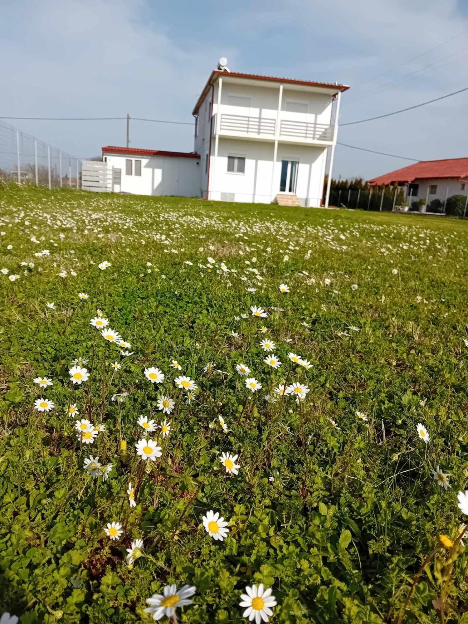 Countryside Apartments First Floor Tríkala Zewnętrze zdjęcie